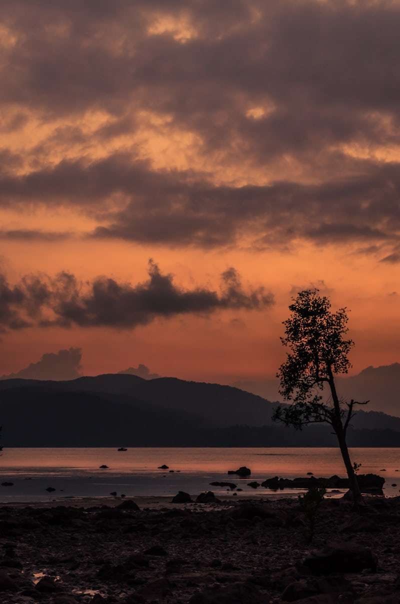 Andaman Islands Beach & Scuba Expedition 4N/5D